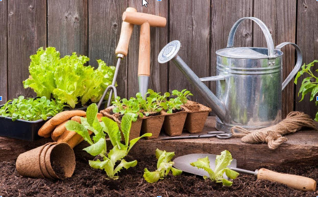 gardening benefits