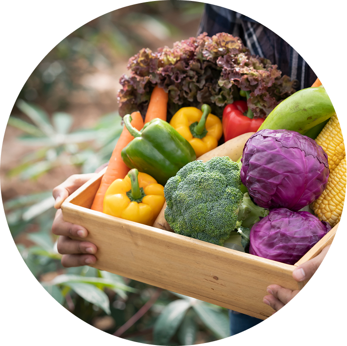 Assorted colorful vegetables being held outdoors
