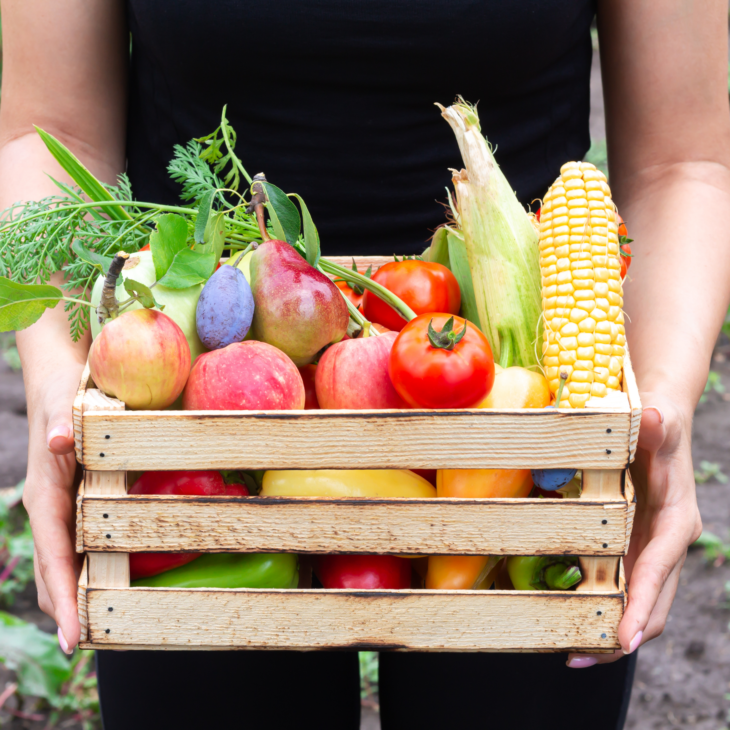 Person holding crate of fresh vegetables
