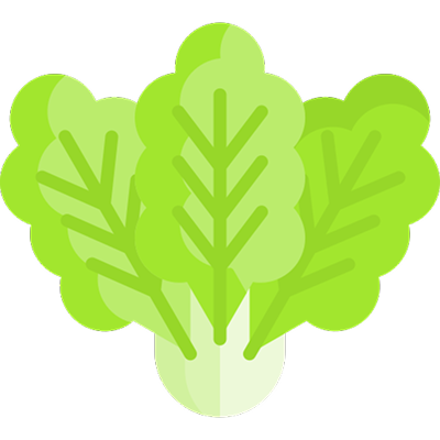 Green leafy vegetable illustration