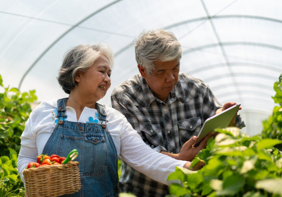 Farmers examining crops in greenhouse